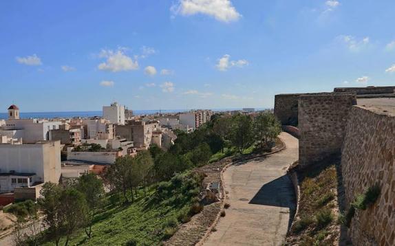 El Ayuntamiento reforestará la ladera del Castillo con una ayuda provincial