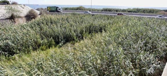 Seis empresas optan a limpiar el barranco de Agua Amarga para evitar las riadas