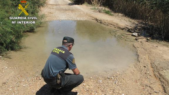 La Guardia Civil investiga al responsable de una granja por vertidos ilegales de purines