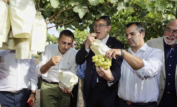 El Consell promocionará los productos de la provincia asociados a la Navidad