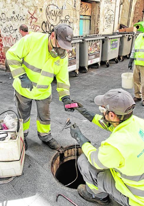 El Ayuntamiento desratiza de manera urgente el centro tradicional