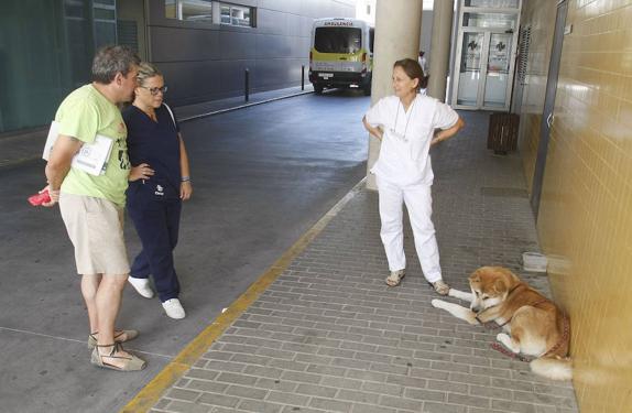 La dulce 'Maya', siempre a tu lado