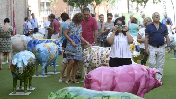 Una piara de colores en Santo Domingo