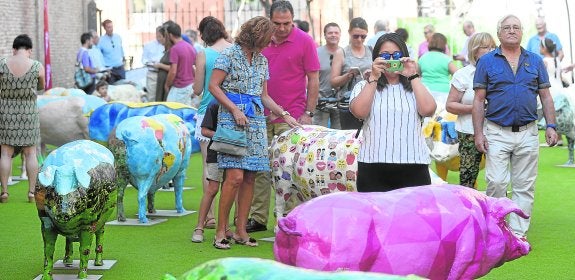Una piara de colores en Santo Domingo