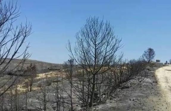 El incendio de Xàbia y Benitatxell se da por estabilizado