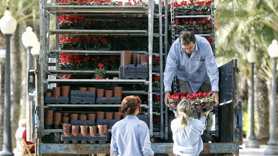 El PP critica que el tripartito cambie flores por arbustos en los jardines