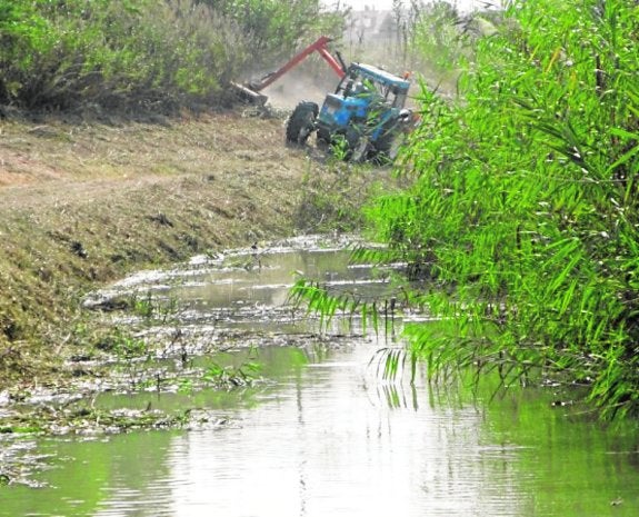 La CHS inicia la limpieza del río antes de la llegada de las lluvias otoñales