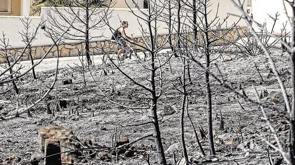 Nueve de cada diez investigaciones de incendios forestales son archivadas