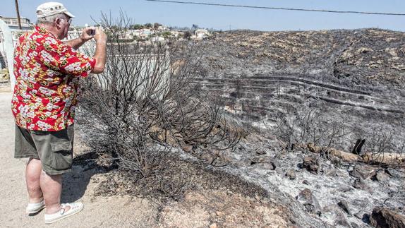 La reforestación de la Marina no comenzará hasta dentro de un año