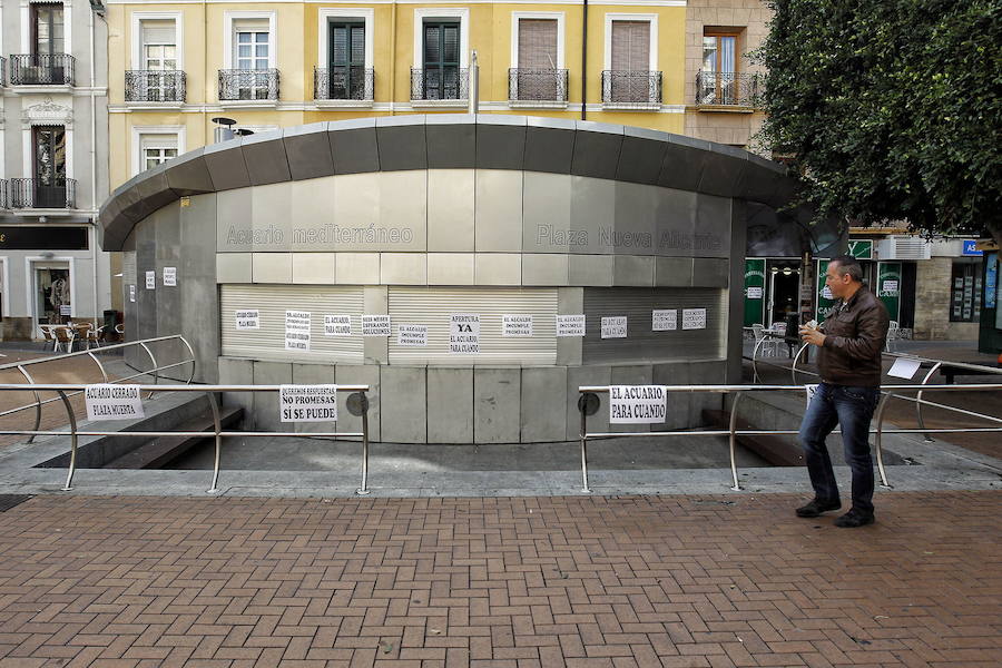 Los ecologistas ven «descabellado» el acuario de la Plaza Nueva