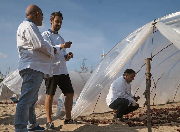 Cocineros de la provincia impulsan la denominación de origen de la ñora