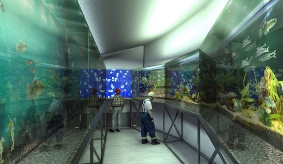 Solo una empresa se interesa por el acuario de la Plaza Nueva