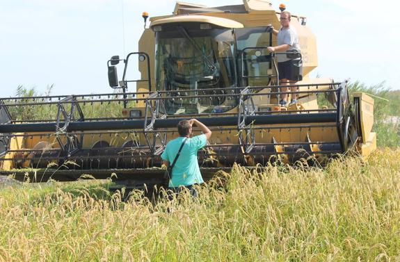 La resurrección del arroz bombón