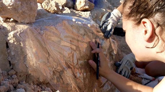 Las excavaciones en Calpe sacan a la luz dos grafitos tallados