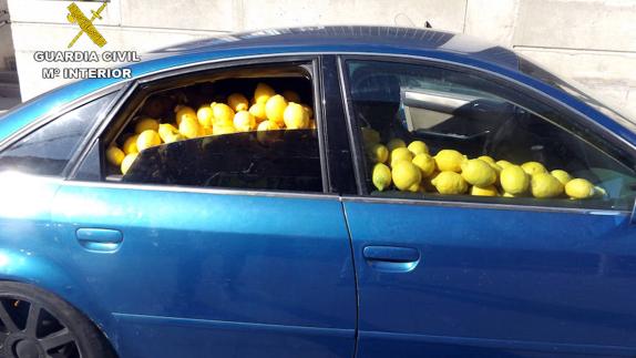 Cae un grupo dedicado a robar limones en el Valle del Guadalentín