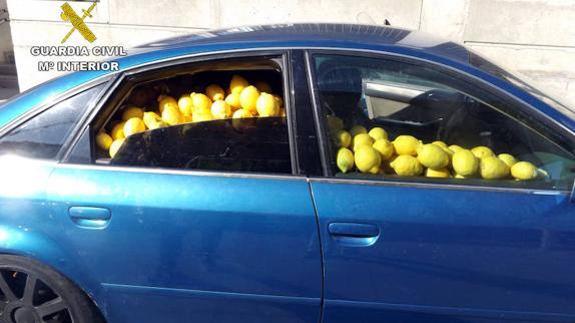 La Guardia Civil desmantela una red que robó más de 100 toneladas de limones
