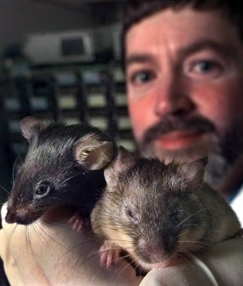 La UMH se adhiere al acuerdo sobre uso de animales en experimentación