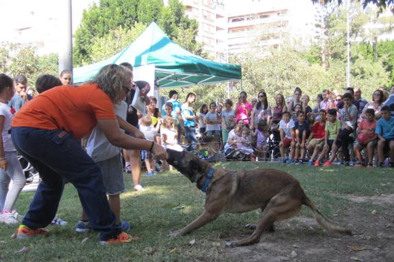 Contra el maltrato, conciencia
