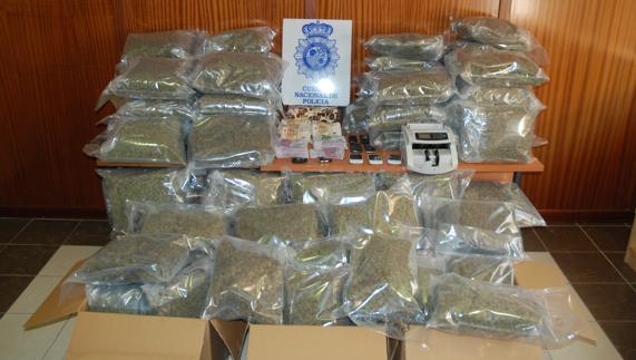 Camuflan 130 kilos de marihuana en un camión cargado de ajos