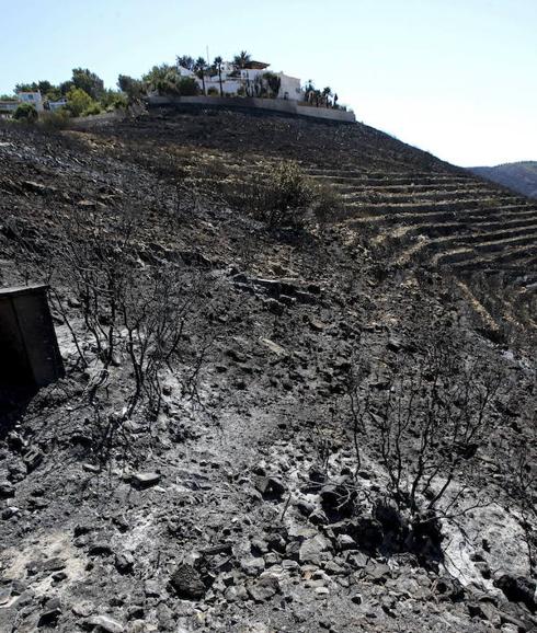 Los incendios queman 6.700 hectáreas en la Comunitat en 2016