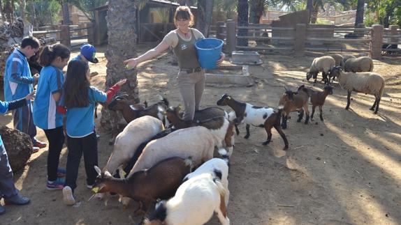 Educación y conservación animal en la oferta escolar de Río Safari