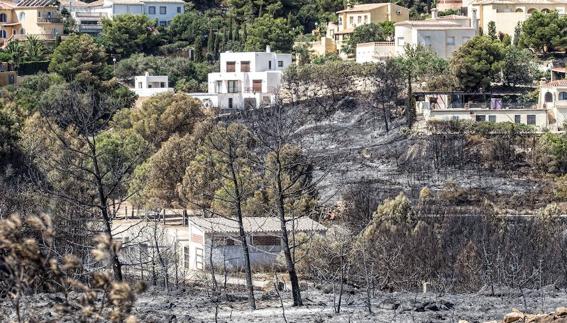 La sequía y las corrientes saharianas agravaron los incendios