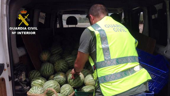 Ocho detenidos por robar 4.000 kilos de sandía