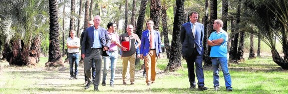 Ponen en marcha el plan para transformar el Palmeral de Zaraíche en huerto singular