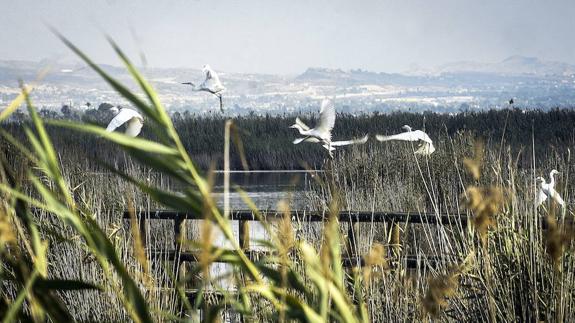 El Consell apuesta por dar calidad a los parques naturales