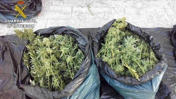 Detenido con más de 5 kilos de marihuana en una moto