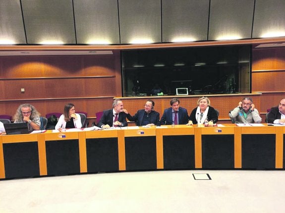 El PSOE plantea que técnicos de la Unión Europea se sumen a los grupos de expertos de la laguna