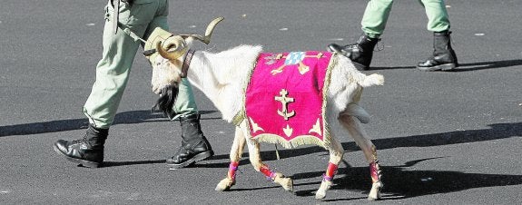 Solitario adiós a 'Pepe'