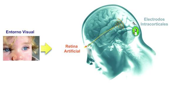 La ONCE colabora con la UMH