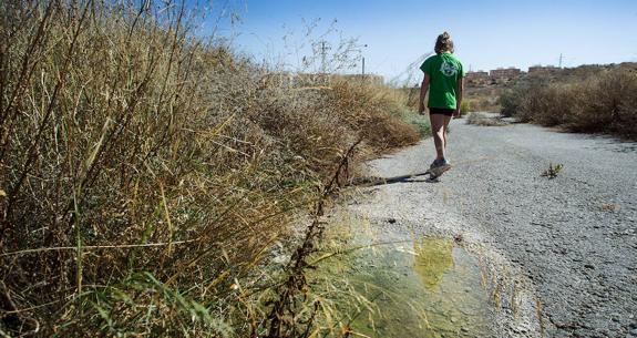 El Barranco de las Ovejas, de vertedero a sendero ambiental