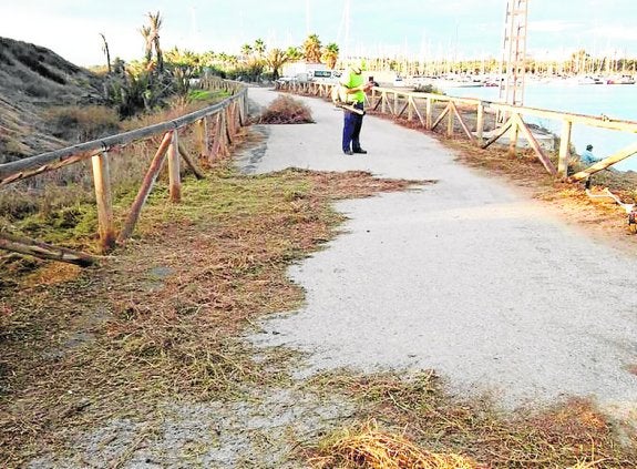 La empresa pública Gesnet desbroza el acceso al puerto desde la pinada