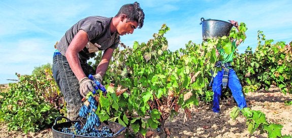 Los fondos de inversión extranjeros ponen sus ojos en bodegas de la provincia