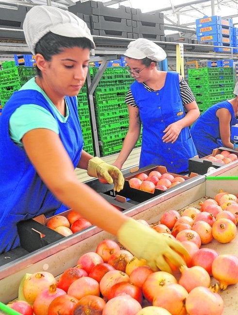 La lluvia daña el 30% de la cosecha de granada mollar