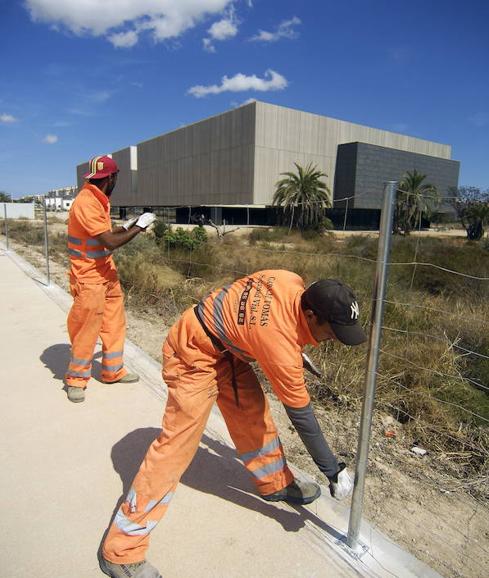 Finalizan las obras de varios edificios de la UMH