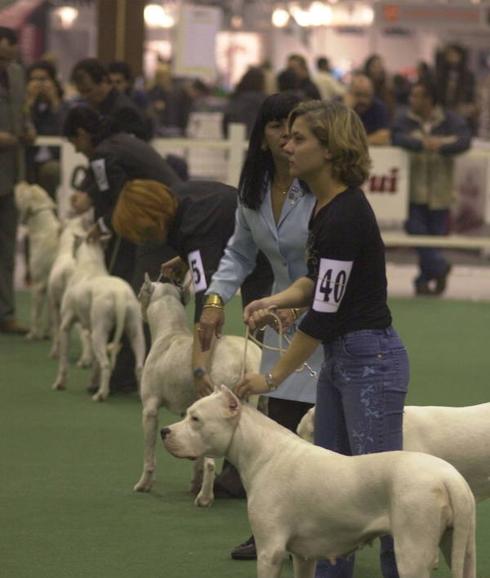 3.000 perros tomarán Ifepa este fin de semana