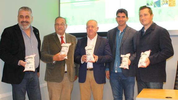 Culmina con éxito el proyecto de recuperación del arroz autóctono de Alicante