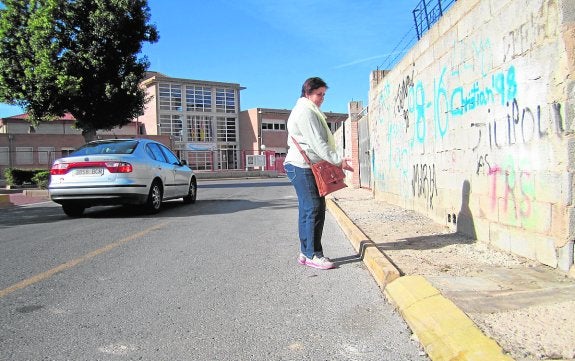 IU denuncia la falta de mantenimiento en calles y parques del centro urbano