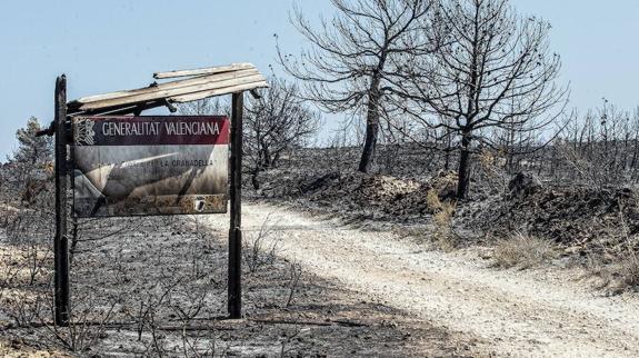 La Comunitat es una de las más afectadas por los grandes incendios