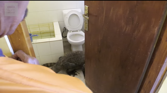 Regresa al hotel y se encuentra un dragón de Komodo en el baño