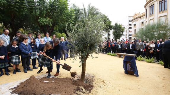 Arranca la reforestación de la provincia
