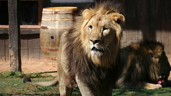 Terra Natura en Murcia: La mejor opción de un otoño divertido