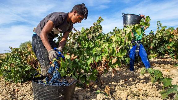 AVA se personará en la causa por una estafa de 5 millones