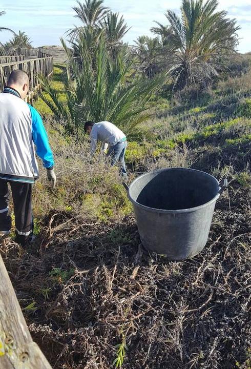 Eliminación de especies invasoras en el Segura