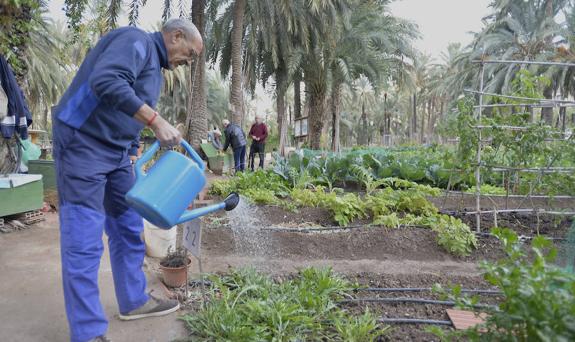 La experiencia de huertos urbanos se extenderá a Carrús y el Raval