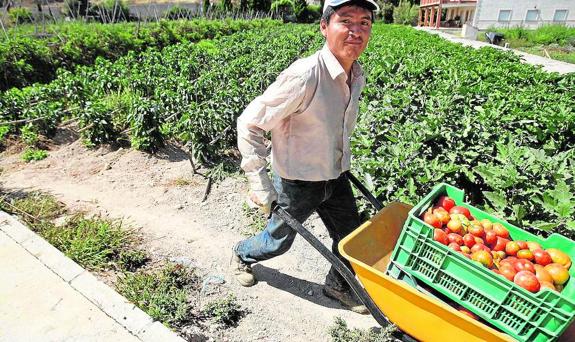 La agricultura ecológica se consolida en la provincia como alternativa a la tradicional