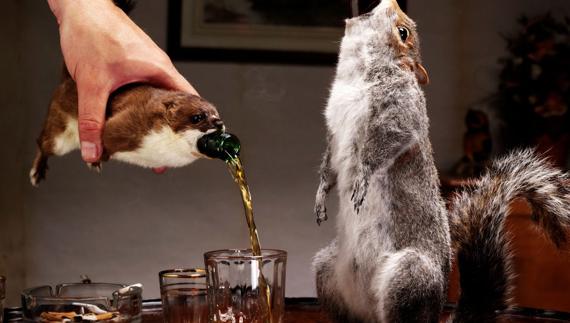 La cerveza más cara del mundo se sirve dentro de una ardilla disecada